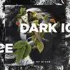 No Kind of Rider - Dark Ice - Single